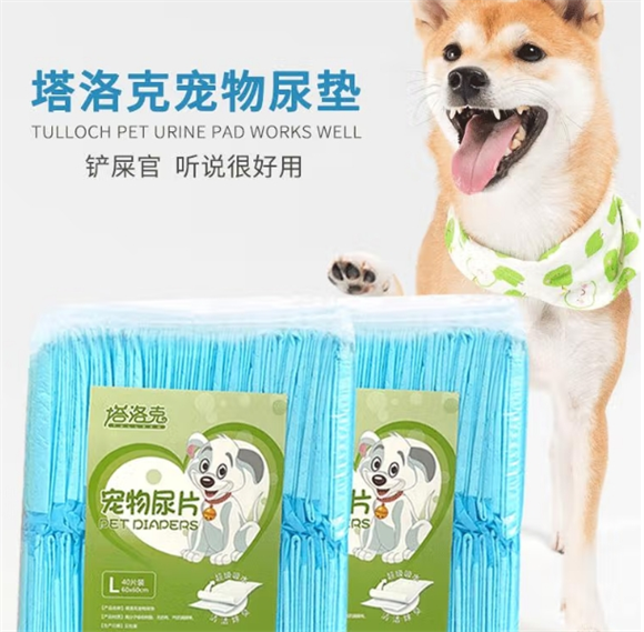 塔洛克狗狗尿片怎么使用
