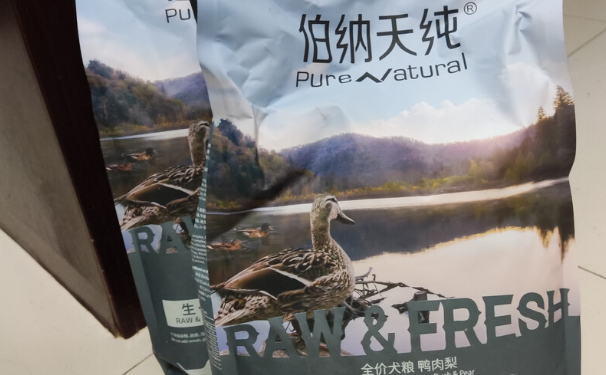 柯基幼犬吃什么狗粮好?伯纳天纯鸭肉梨狗粮满足柯基特殊喂养需求 柯基幼犬吃什么狗粮好?伯纳天纯鸭肉梨狗粮满足柯基特殊喂养需求