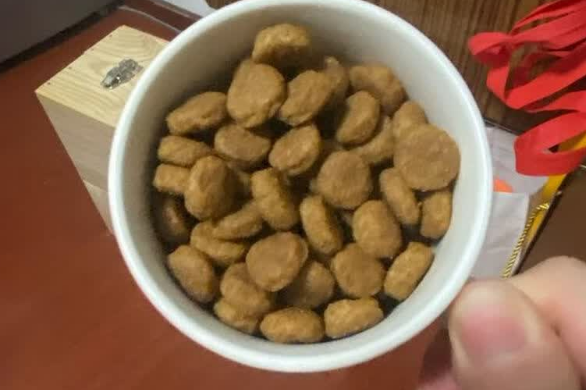 法国狗粮品牌大全安利一款:皇家狗粮M25,呵护狗狗皮肤健康! 法国狗粮品牌大全安利一款:皇家狗粮M25,呵护狗狗皮肤健康!