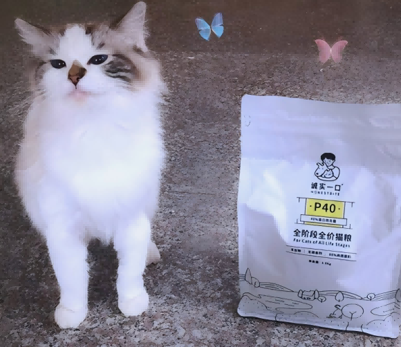 便宜质量又好的猫粮推荐诚实一口，打破“便宜无好粮”刻板印象
