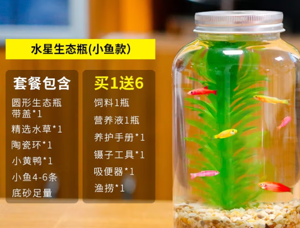 贝拉缘生态鱼缸用什么水草