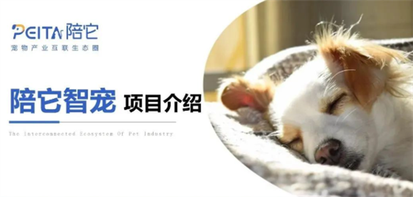 陪它智宠是哪里的品牌 陪它智宠是哪里的品牌