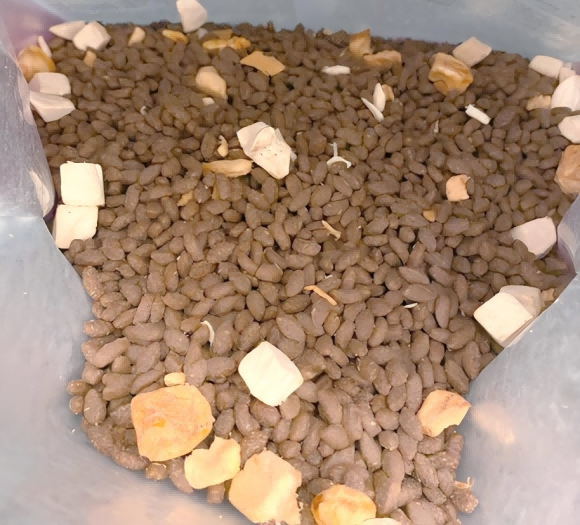 冻干猫粮好还是普通猫粮好?K9冻干双拼猫粮科学搭配均衡营养 冻干猫粮好还是普通猫粮好?K9冻干双拼猫粮科学搭配均衡营养