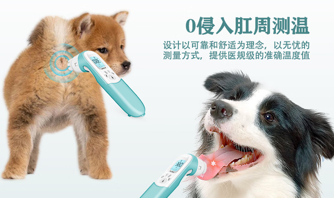 健适宠智能体温按摩梳：重新定义宠物健康监测的温柔革命