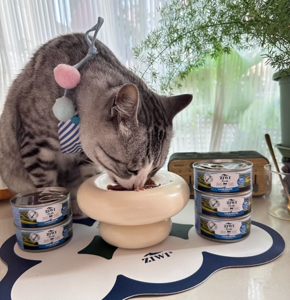 ZIWI巅峰以100%新西兰品质,诠释“高端猫罐头品牌” ZIWI巅峰以100%新西兰品质,诠释“高端猫罐头品牌”