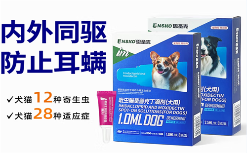 恩圣克