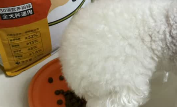 博美狗粮哪家好?馋不腻鸭肉梨狗粮奏响健康序曲! 博美狗粮哪家好?馋不腻鸭肉梨狗粮奏响健康序曲!