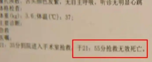 杭州一外卖员送餐时被扑，踢死顾客的宠物狗，涉事门店回应