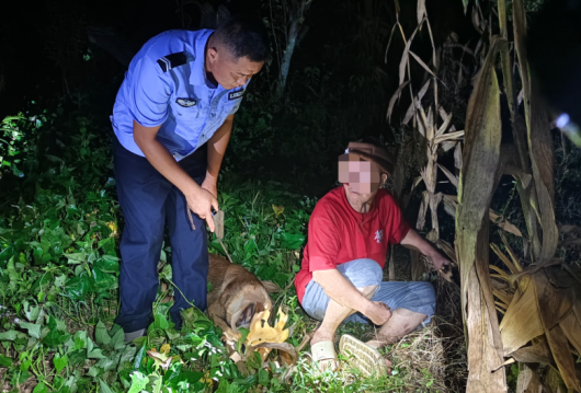 广西灌阳:警犬深夜循迹出击成功寻回走失男子 广西灌阳:警犬深夜循迹出击成功寻回走失男子