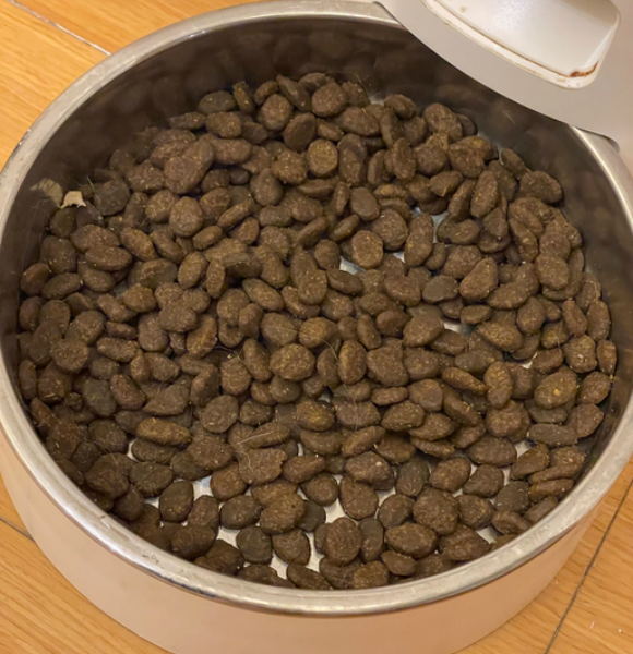 位列长毛猫粮排行榜,ACANA爱肯拿如何成为长毛猫主食优选? 位列长毛猫粮排行榜,ACANA爱肯拿如何成为长毛猫主食优选?