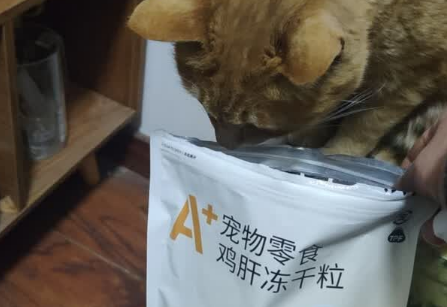 哪个牌子的狗零食比较好？纯肉制作的领先鸡肝冻干粒，狗子更爱！