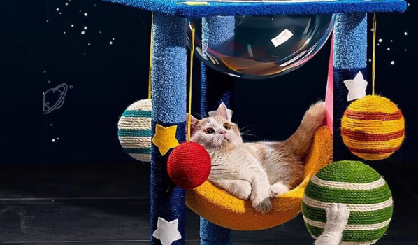 哈骆顿猫爬架可以买吗 哈骆顿猫爬架可以买吗
