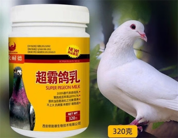 欧耐德属于什么档次