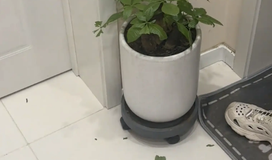 女子回到家,俩狗子一脸心虚的站洗手台上躲着。网友:直接打就行了 女子回到家,俩狗子一脸心虚的站洗手台上躲着。网友:直接打就行了