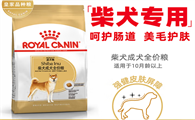 柴犬狗粮品牌排行榜推荐：皇家——专为柴犬定制的营养方案