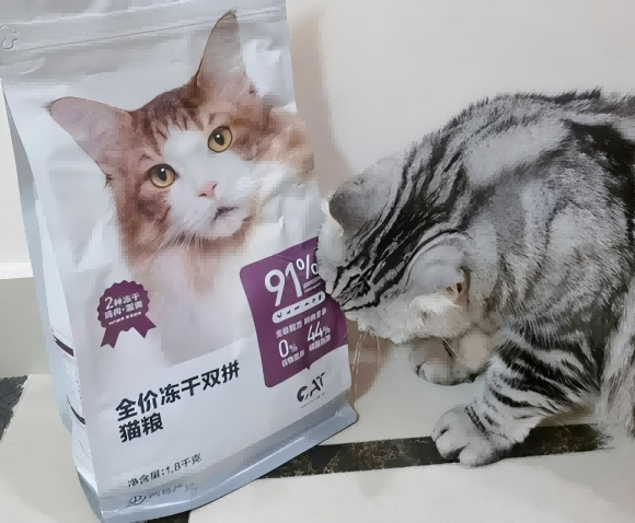 学生党猫粮推荐哪款?网易严选全价冻干双拼猫粮养宠智慧之选 学生党猫粮推荐哪款?网易严选全价冻干双拼猫粮养宠智慧之选