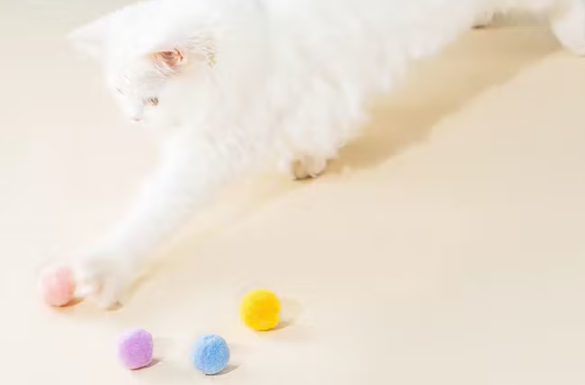 灶马猫咪玩具耐咬吗