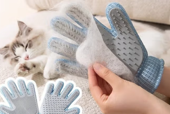 COODORA撸猫手套多少钱