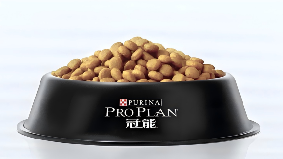 掉毛严重的猫吃什么猫粮?冠能猫粮带来从毛囊到皮毛的立体呵护 掉毛严重的猫吃什么猫粮?冠能猫粮带来从毛囊到皮毛的立体呵护