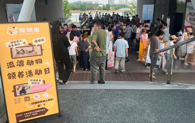从遗弃到被爱!昨天闵行这里爆满,只为TA们找新家 从遗弃到被爱!昨天闵行这里爆满,只为TA们找新家