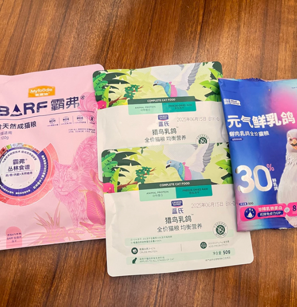 安全健康的猫粮如何选?蓝氏猎鸟乳鸽猫粮成品质咪咪首选 安全健康的猫粮如何选?蓝氏猎鸟乳鸽猫粮成品质咪咪首选