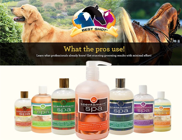 Bestshot沐浴露:带来舒适沐浴体验的贴心之选 Bestshot沐浴露:带来舒适沐浴体验的贴心之选