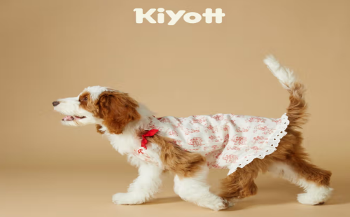 Kiyott