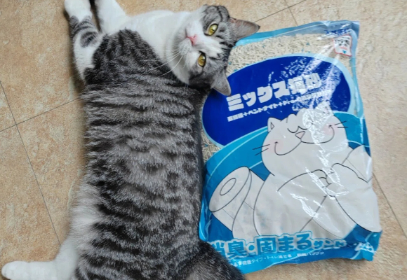 猫砂什么牌子便宜?妮可露混合猫砂:铲屎官省钱秘籍大公开! 猫砂什么牌子便宜?妮可露混合猫砂:铲屎官省钱秘籍大公开!