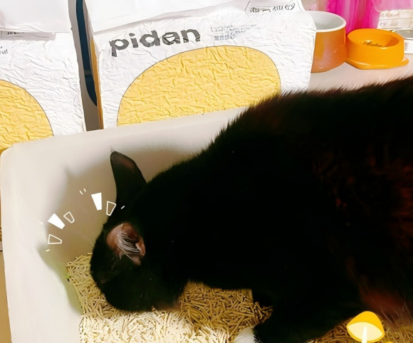 猫砂有哪些比较好的品牌?PIDAN混合猫砂细节成就信赖 猫砂有哪些比较好的品牌?PIDAN混合猫砂细节成就信赖