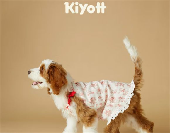 Kiyott复古蕾丝裙——打造狗狗个性穿搭，玩转多元风格