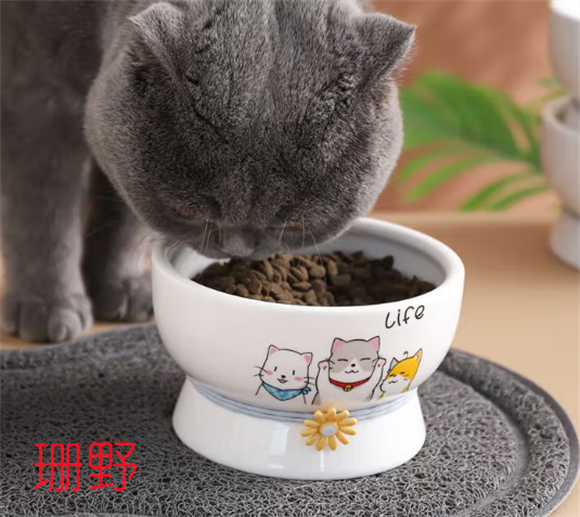 珊野宠物陶瓷碗：恰到好处的高度，给宠物舒适用餐体验