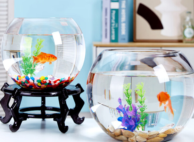 养鱼就用贝拉缘玻璃鱼缸,家居中的灵动风景 养鱼就用贝拉缘玻璃鱼缸,家居中的灵动风景
