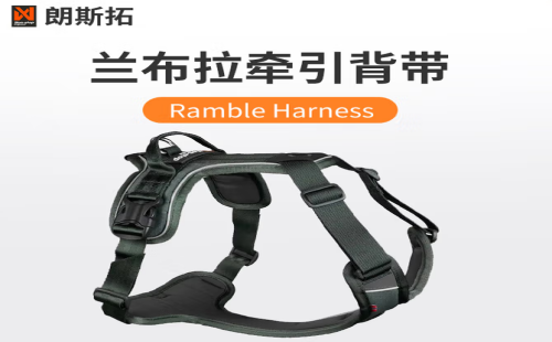 朗斯拓