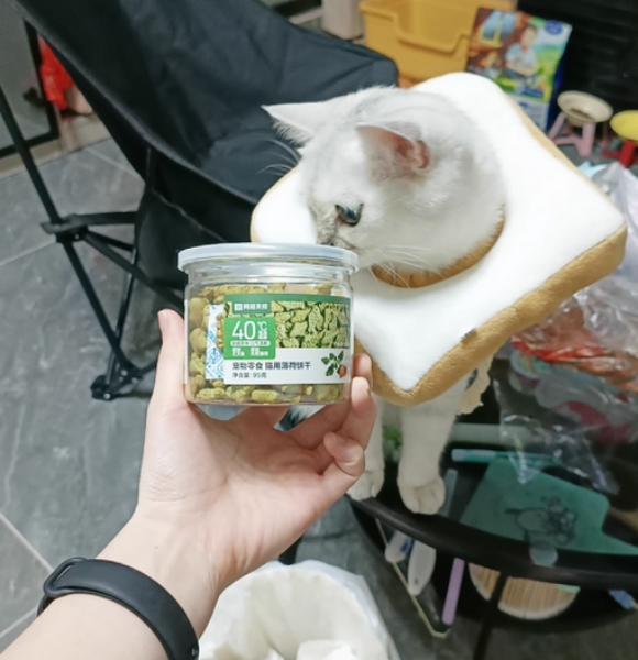 猫零食品牌有哪些?网易严选猫薄荷饼干“一罐驯服小祖宗” 猫零食品牌有哪些?网易严选猫薄荷饼干“一罐驯服小祖宗”