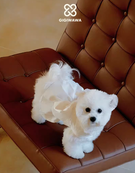 GIGIWAWA宠物双层蝴蝶结裙——优雅与甜美的完美融合 GIGIWAWA宠物双层蝴蝶结裙——优雅与甜美的完美融合