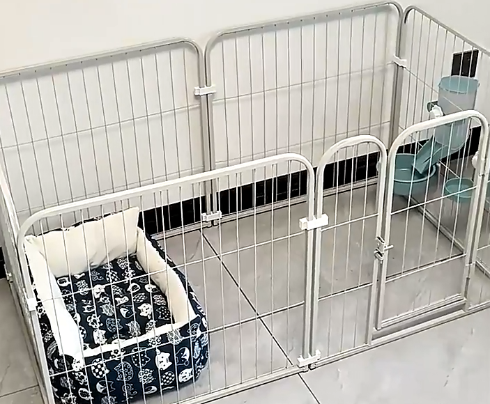 蒙奇多可拆卸宠物围栏,给狗狗安全又自由的活动天地 蒙奇多可拆卸宠物围栏,给狗狗安全又自由的活动天地