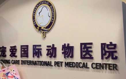 宠爱国际:以专业铸就口碑,用匠心守护生命 宠爱国际:以专业铸就口碑,用匠心守护生命