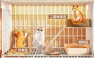 云班双层猫笼子：给猫咪的自由舒适小天地