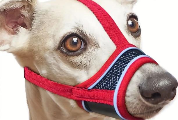 karlie嘴套可以防止狗叫吗 karlie嘴套可以防止狗叫吗