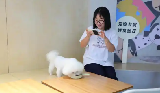 宠物友好型场景花式“上新”携宠出游成新风潮 宠物友好型场景花式“上新”携宠出游成新风潮