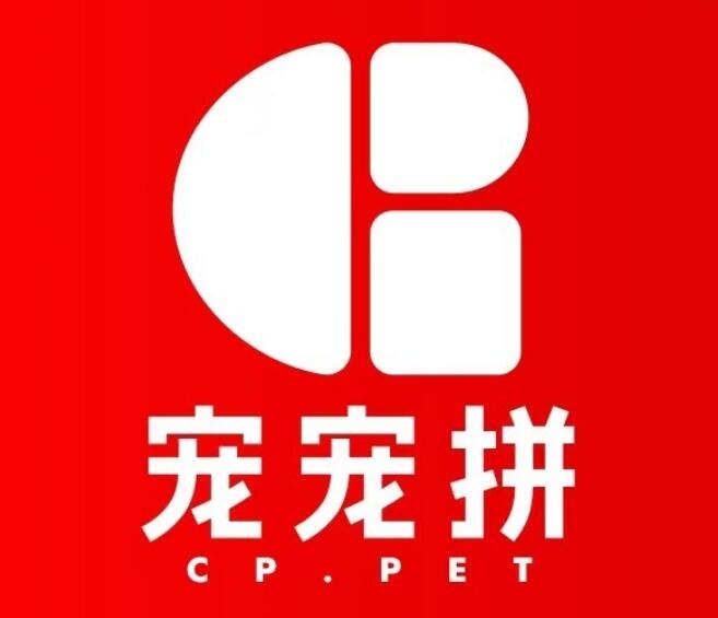 宠宠拼什么时候成立的