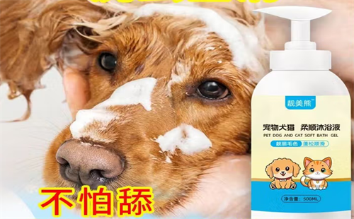 靓美熊