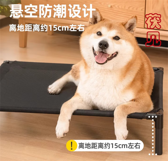 茯见狗狗行军床多少钱