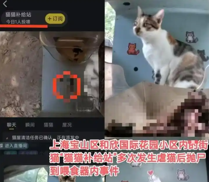 上海宝山一小区猫屋惊现猫尸残骸！运营方称正配合警方调查！