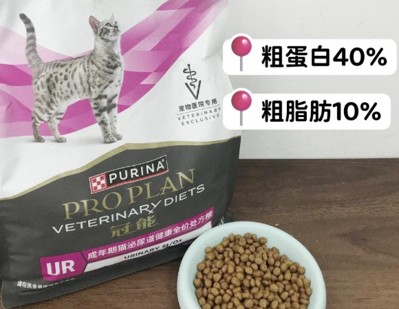 防止结石的猫粮有哪些?冠能泌尿处方粮守护猫咪尿路健康 防止结石的猫粮有哪些?冠能泌尿处方粮守护猫咪尿路健康