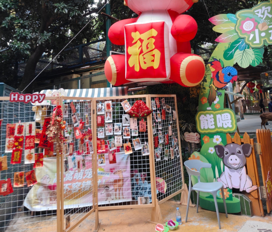 深圳户外宠物文化周：人宠友好新地标诞生