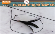 karlie逗猫棒有啥用