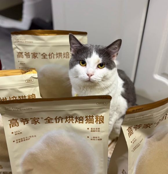 猫粮哪个牌子的品质好?高爷家功能粮破解“猫病焦虑” 猫粮哪个牌子的品质好?高爷家功能粮破解“猫病焦虑”