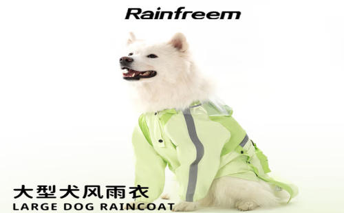 琴飞曼