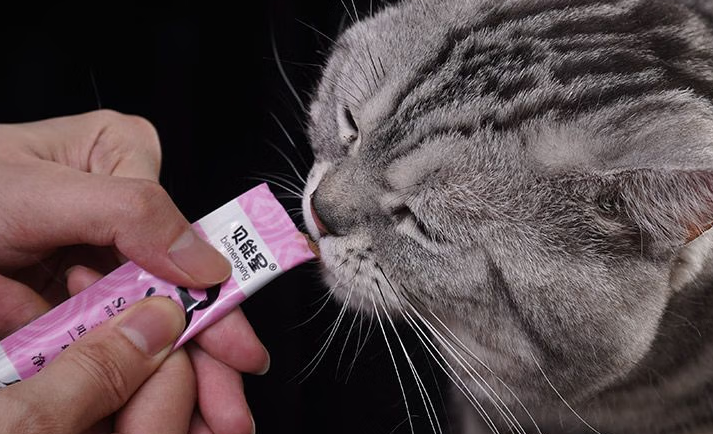 能量贝贝贝能星猫条：猫咪的欢乐能量棒
